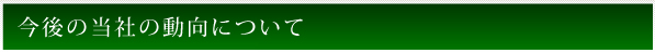 今後の当社の動向について